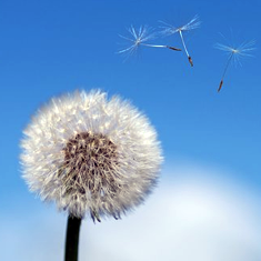 AG Club | The Originator of Live Casino