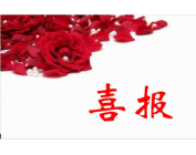 AG Club | The Originator of Live Casino